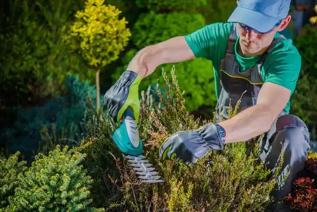 landscaping services Gardere